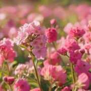 ヒメ日記 2025/07/14 13:24 投稿 春野あいみ お姉さんCLUB