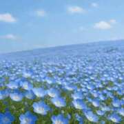 ヒメ日記 2025/08/03 03:48 投稿 春野あいみ お姉さんCLUB