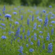 ヒメ日記 2025/08/28 20:12 投稿 春野あいみ お姉さんCLUB