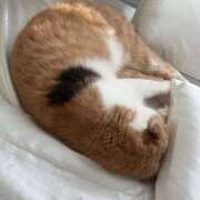 ヒメ日記 2026/03/08 09:57 投稿 春野あいみ お姉さんCLUB