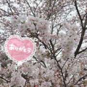 ヒメ日記 2026/04/05 23:04 投稿 ユウナ ツートップ