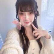 ヒメ日記 2025/11/17 17:46 投稿 りのん【キレカワ系ドエロ美女】 STELLA TOKYO－ステラトウキョウ－