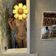 ヒメ日記 2025/10/26 02:26 投稿 みなみ 快楽玉乱堂