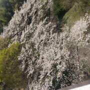 ヒメ日記 2026/03/27 17:12 投稿 AF逆AF無料みなちゃん プレミア奥様（プレミアマダム）