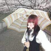 ヒメ日記 2026/03/31 09:42 投稿 AF逆AF無料みなちゃん プレミア奥様（プレミアマダム）