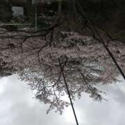 ヒメ日記 2026/03/31 14:12 投稿 AF逆AF無料みなちゃん プレミア奥様（プレミアマダム）