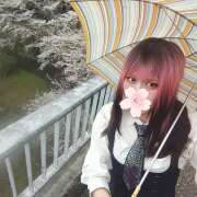 ヒメ日記 2026/04/01 10:11 投稿 AF逆AF無料みなちゃん プレミア奥様（プレミアマダム）