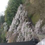 ヒメ日記 2026/04/02 17:12 投稿 AF逆AF無料みなちゃん プレミア奥様（プレミアマダム）