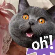 ヒメ日記 2026/04/29 17:18 投稿 AF逆AF無料みなちゃん プレミア奥様（プレミアマダム）