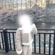 ひより 季節外れ🌸 ビギナーズ神戸