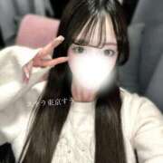 ヒメ日記 2026/04/12 17:15 投稿 すう【激カワアイドル系美女】 STELLA TOKYO－ステラトウキョウ－