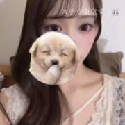 ヒメ日記 2026/04/25 15:59 投稿 すう【激カワアイドル系美女】 STELLA TOKYO－ステラトウキョウ－