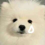 ヒメ日記 2025/06/07 17:08 投稿 ひより フォーチュン