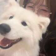 ヒメ日記 2025/07/04 14:31 投稿 ひより フォーチュン