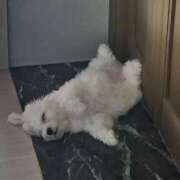 ヒメ日記 2025/08/30 18:56 投稿 ひより フォーチュン