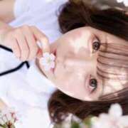 ヒメ日記 2026/03/31 14:01 投稿 ひより フォーチュン