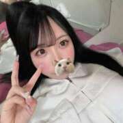 ヒメ日記 2026/04/06 12:11 投稿 ひより フォーチュン