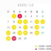 ヒメ日記 2025/12/15 16:30 投稿 芹沢 なの 白夜
