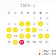ヒメ日記 2026/01/09 10:45 投稿 芹沢 なの 白夜