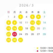 ヒメ日記 2026/02/23 09:31 投稿 芹沢 なの 白夜