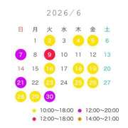 芹沢 なの 来月のシフト 白夜