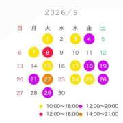 芹沢 なの 9月🍂 白夜