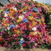 ヒメ日記 2025/08/17 03:38 投稿 かんな☆迫力満点！M乳美女 ぽちゃぶらんか甲府店(カサブランカグループ)