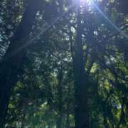 ヒメ日記 2025/05/23 15:13 投稿 水城さつき セクシーキャット 神田店