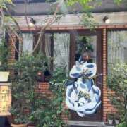 ヒメ日記 2025/06/05 15:21 投稿 水城さつき セクシーキャット 神田店