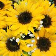 ヒメ日記 2025/07/03 16:34 投稿 水城さつき セクシーキャット 神田店