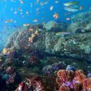 ヒメ日記 2025/08/28 10:27 投稿 水城さつき セクシーキャット 神田店