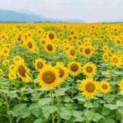 ヒメ日記 2025/09/02 10:00 投稿 水城さつき セクシーキャット 神田店