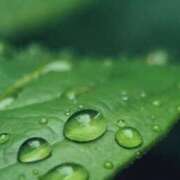 ヒメ日記 2025/09/04 10:08 投稿 水城さつき セクシーキャット 神田店