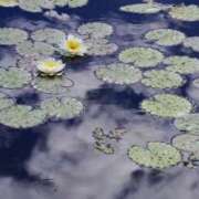 ヒメ日記 2025/10/01 09:32 投稿 水城さつき セクシーキャット 神田店