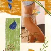 ヒメ日記 2025/10/01 15:45 投稿 水城さつき セクシーキャット 神田店