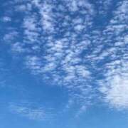 ヒメ日記 2025/10/02 09:33 投稿 水城さつき セクシーキャット 神田店