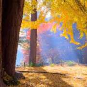 ヒメ日記 2025/10/08 09:34 投稿 水城さつき セクシーキャット 神田店