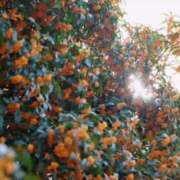 ヒメ日記 2025/10/14 10:14 投稿 水城さつき セクシーキャット 神田店