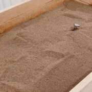 ヒメ日記 2025/11/04 09:36 投稿 水城さつき セクシーキャット 神田店