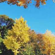 ヒメ日記 2025/11/18 09:56 投稿 水城さつき セクシーキャット 神田店