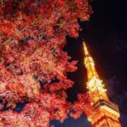 ヒメ日記 2025/12/02 10:01 投稿 水城さつき セクシーキャット 神田店