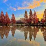 水城さつき [お題]from:村田さん セクシーキャット 神田店