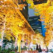 水城さつき [お題]from:当たってた？さん セクシーキャット 神田店