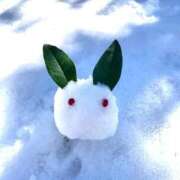 ヒメ日記 2026/01/09 10:03 投稿 水城さつき セクシーキャット 神田店