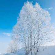 ヒメ日記 2026/01/13 09:28 投稿 水城さつき セクシーキャット 神田店