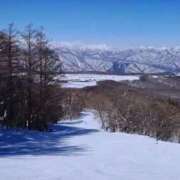 水城さつき おはようございます♪ セクシーキャット 神田店