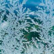 ヒメ日記 2026/01/28 09:50 投稿 水城さつき セクシーキャット 神田店