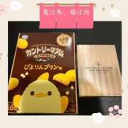 ヒメ日記 2026/02/03 16:28 投稿 水城さつき セクシーキャット 神田店
