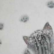 ヒメ日記 2026/02/09 09:48 投稿 水城さつき セクシーキャット 神田店