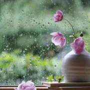 ヒメ日記 2026/02/26 09:18 投稿 水城さつき セクシーキャット 神田店